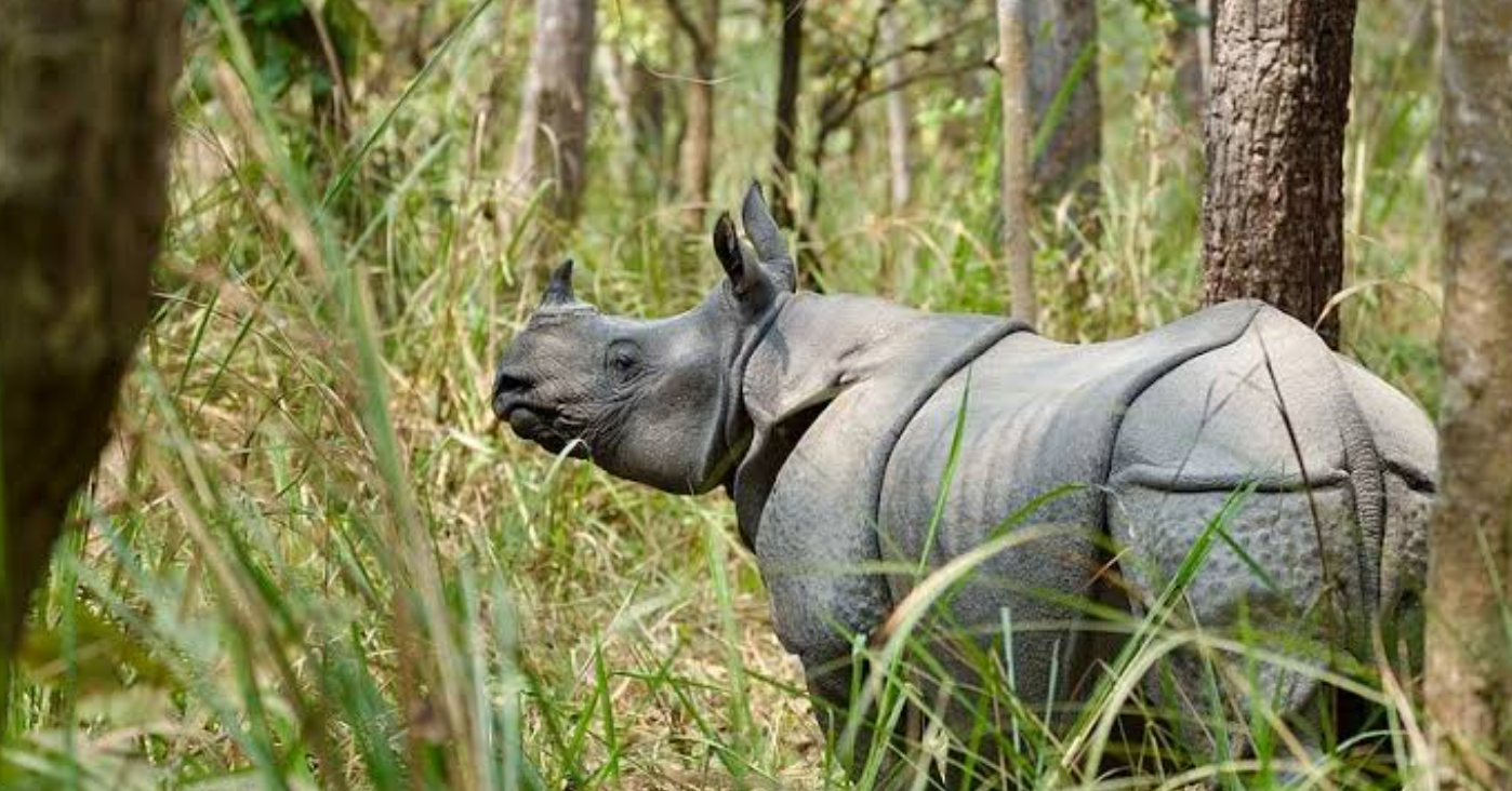 Chitwan National Park